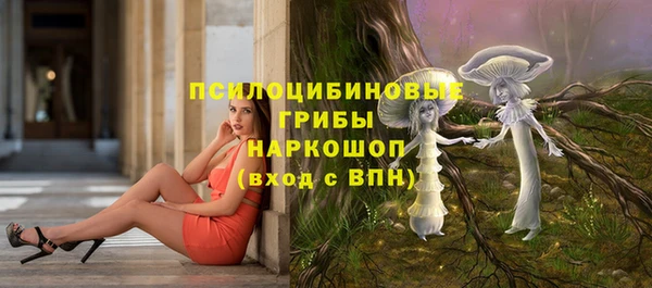 спайс Михайлов