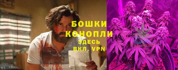 спайс Михайлов