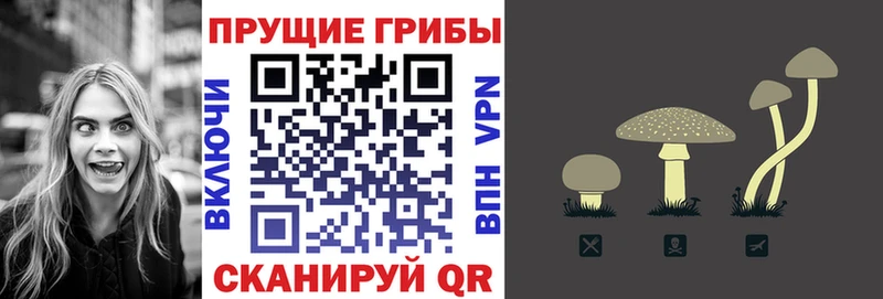 как найти закладки  Стрежевой  Галлюциногенные грибы прущие грибы 